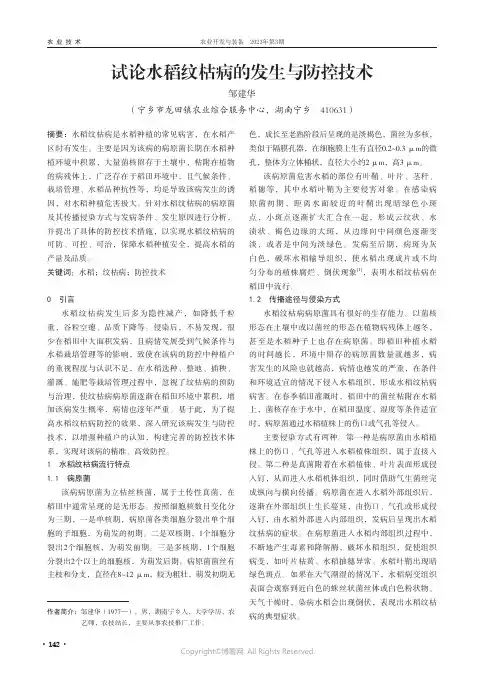 试论水稻纹枯病的发生与防控技术