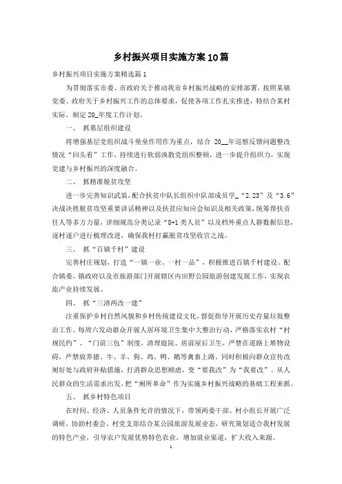 乡村振兴项目实施方案10篇