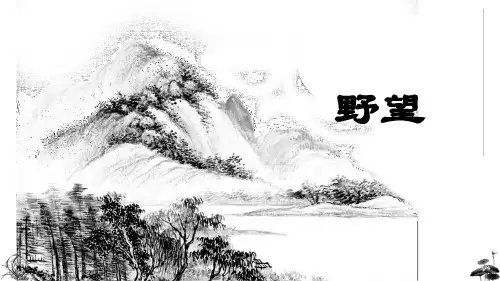 经典古诗词赏析之野望