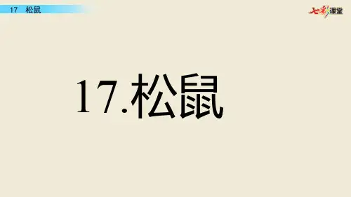 17 松鼠课件
