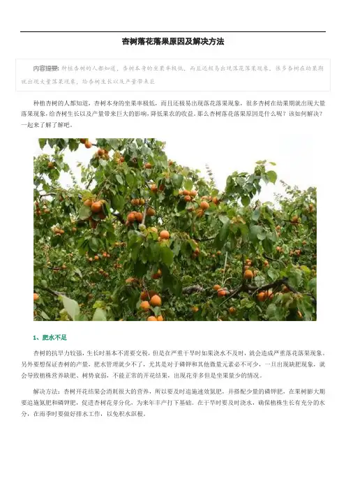 杏树落花落果原因及解决方法