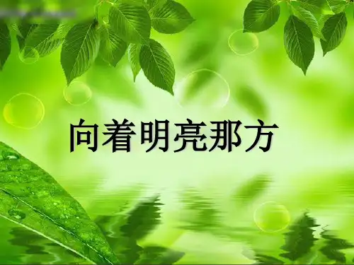 向着明亮那方优秀课件