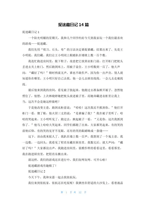 捉迷藏日记14篇