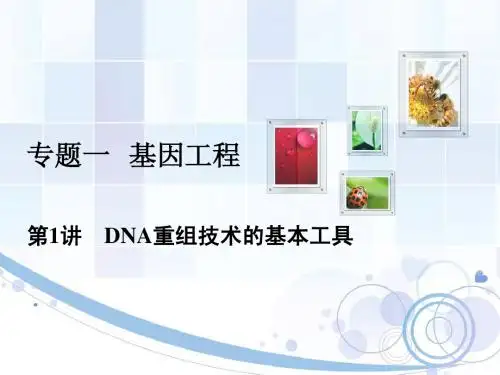 生物选修三 专题一   基因工程