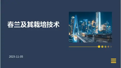 春兰及其栽培技术