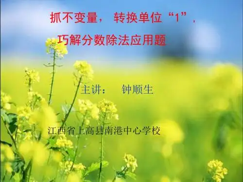抓不变量转换1巧解分数除法应用题-精选文档