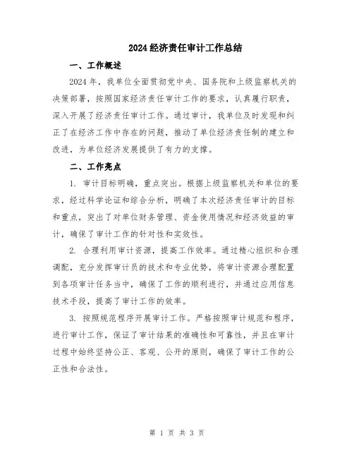 2024经济责任审计工作总结