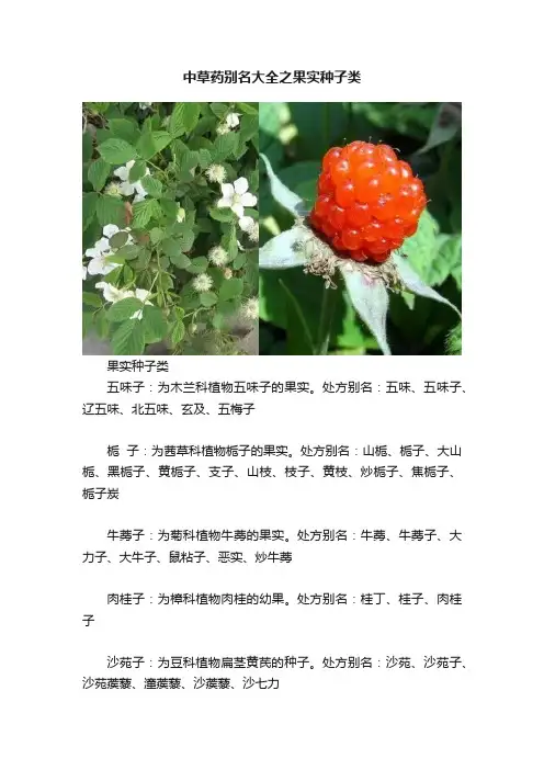 中草药别名大全之果实种子类