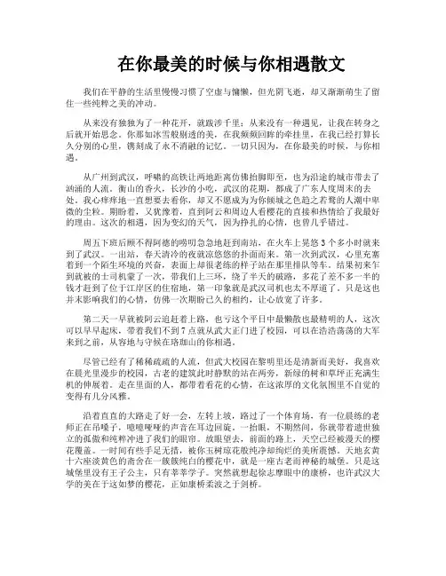 在你最美的时候与你相遇散文