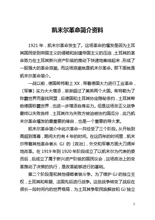 凯末尔革命简介资料
