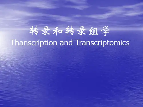 转录和转录组学transcriptome PPT课件