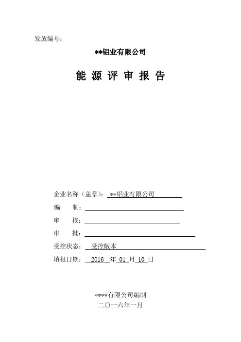 能源评审报告