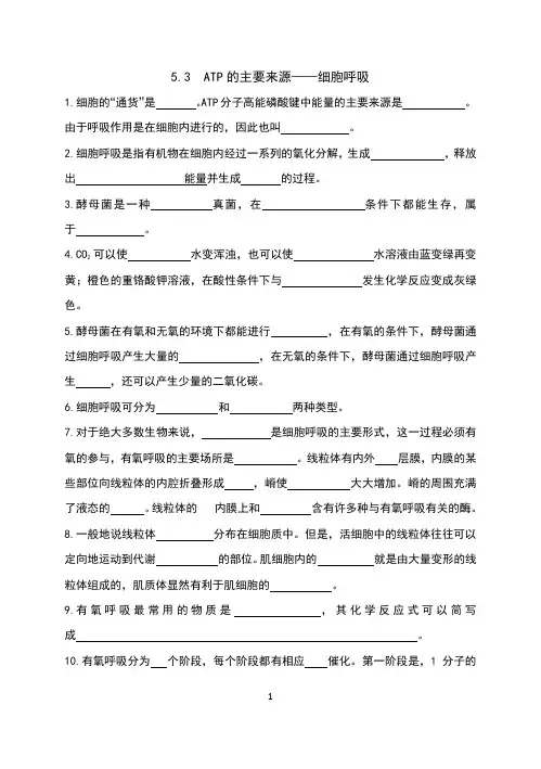 高中生物必修一 ATP的主要来源——细胞呼吸