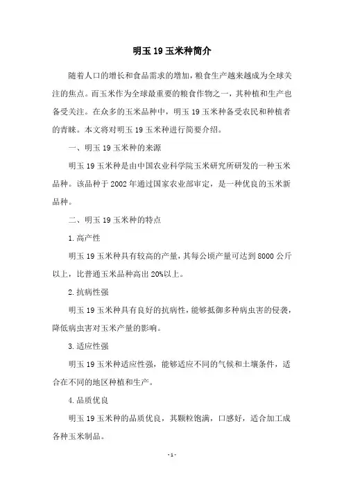 明玉19玉米种简介