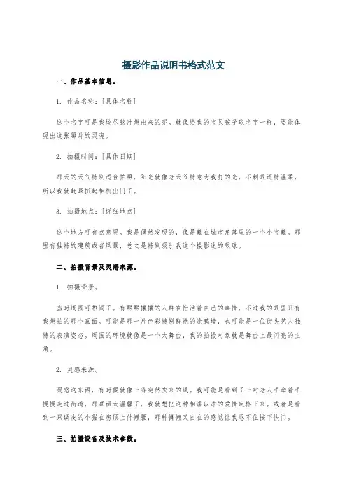 摄影作品说明书格式范文