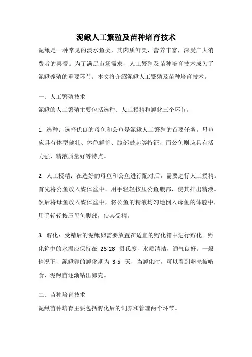 泥鳅人工繁殖及苗种培育技术