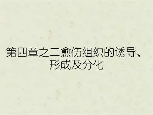 第四章之二愈伤组织的诱导、形成及分化