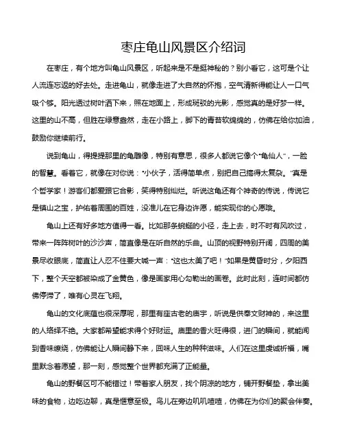 枣庄龟山风景区介绍词