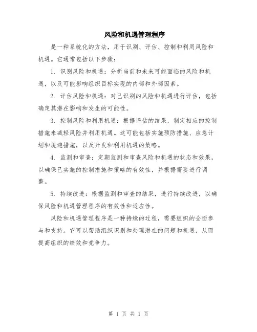 风险和机遇管理程序