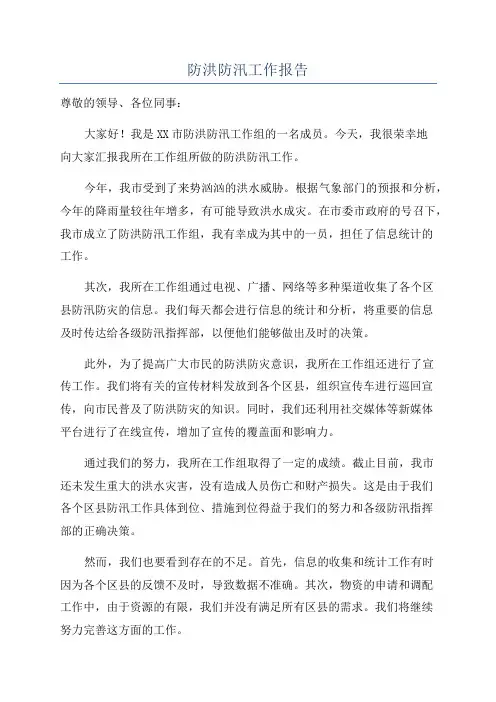 防洪防汛工作报告
