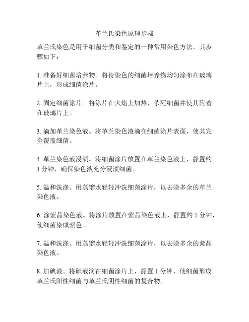 革兰氏染色原理步骤