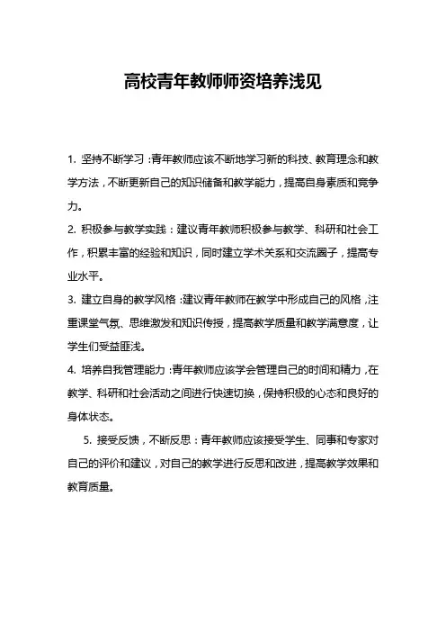 高校青年教师师资培养浅见