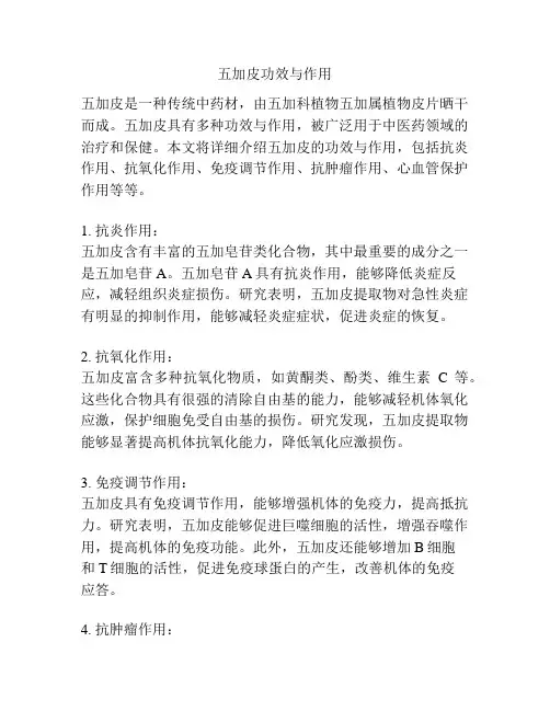 五加皮功效与作用