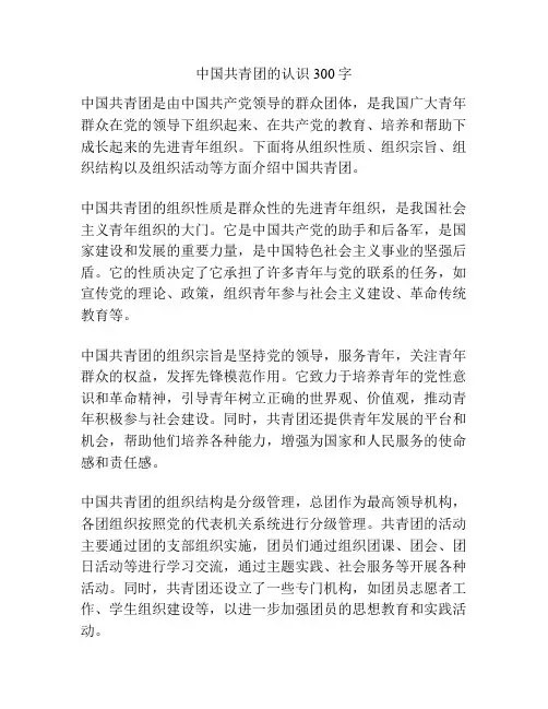 中国共青团的认识300字