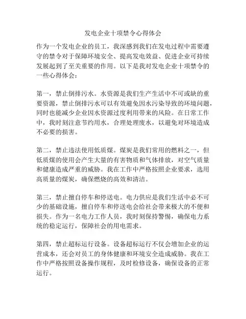 发电企业十项禁令心得体会