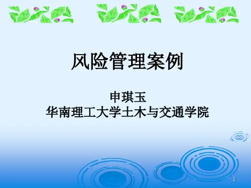 风险管理案例