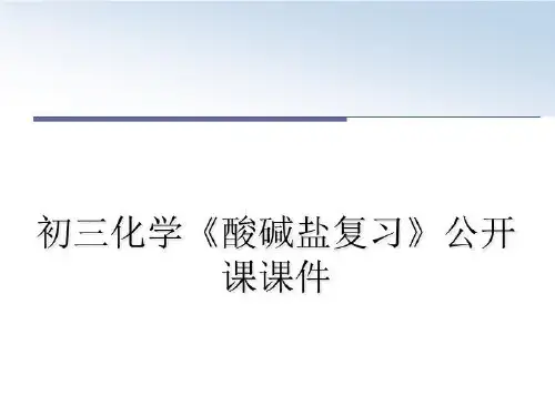 最新初三化学《酸碱盐复习》公开课课件PPT课件