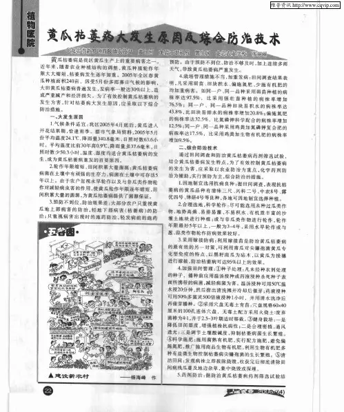 黄瓜枯萎病大发生原因及综合防治技术