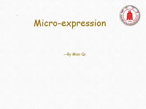 英语课堂演讲ppt-微表情 (1)