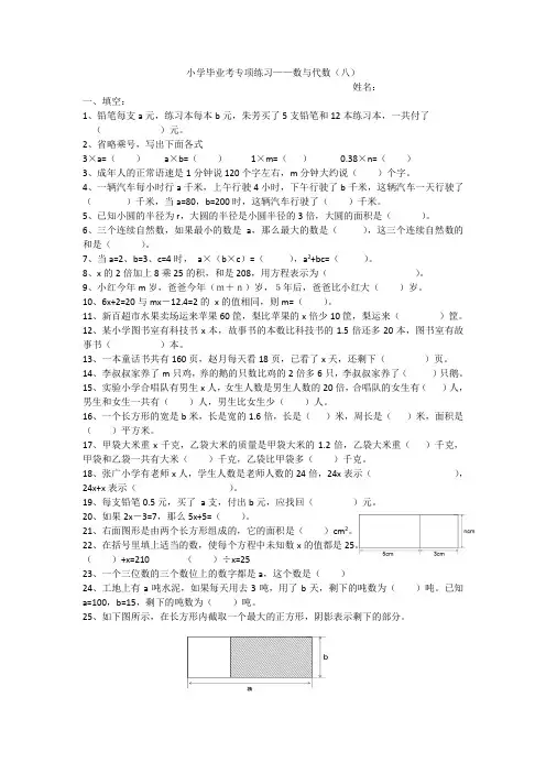数与代数-式与方程(试题)六年级下册数学人教版