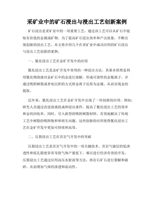 采矿业中的矿石浸出与浸出工艺创新案例