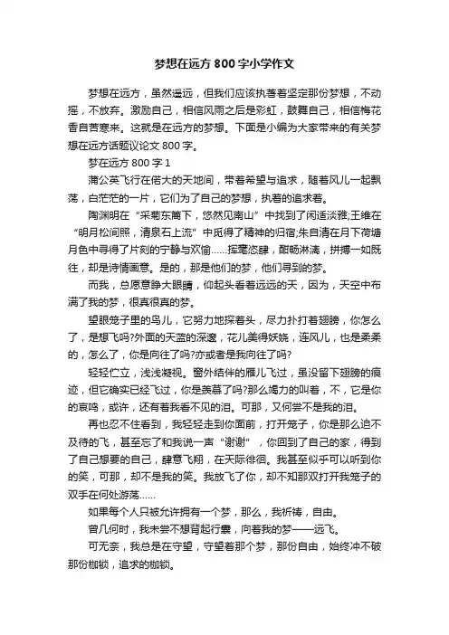 梦想在远方800字小学作文
