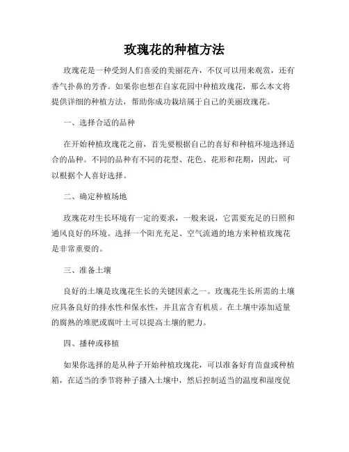 玫瑰花的种植方法