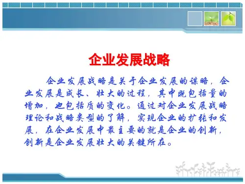 企业经济学：企业发展战略