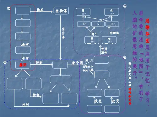 总复习思维导图ppt课件
