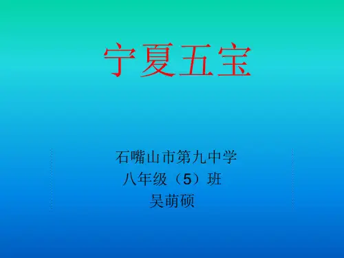 宁夏五宝