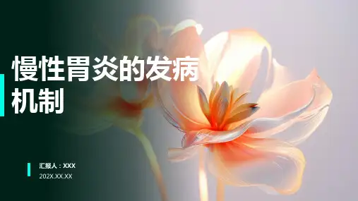 慢性胃炎ppt课件模板
