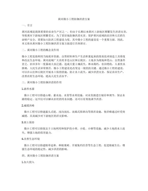 黄河微小工程防御洪涝方案