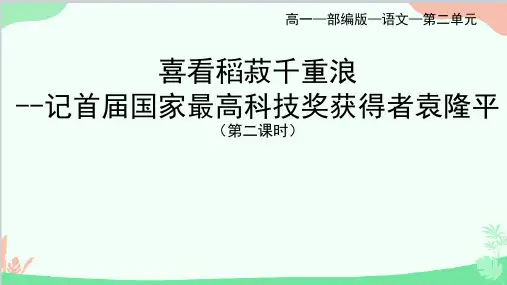 《喜看稻菽千重浪》ppt课件