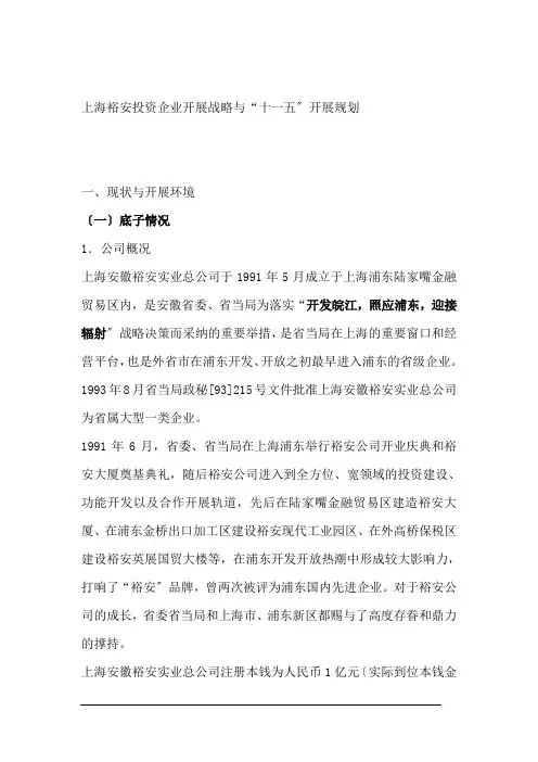 投资有限公司企业发展战略与发展规划
