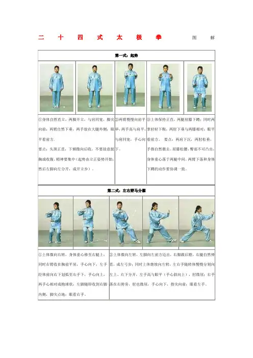 式太极拳图解及讲解