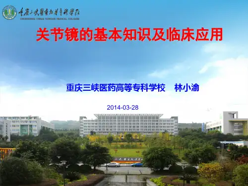关节镜知识讲座