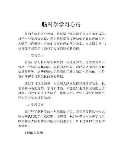 脑科学学习心得