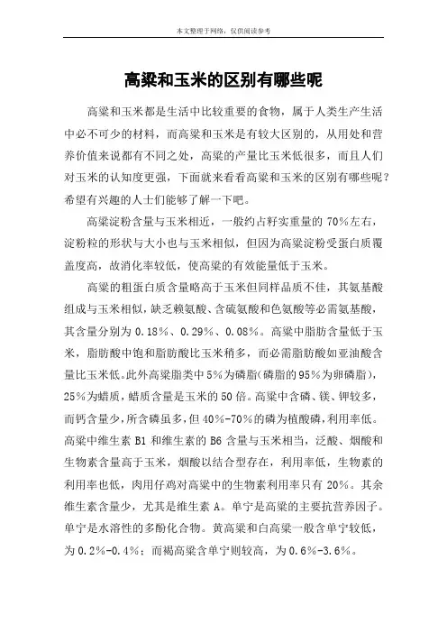 高粱和玉米的区别有哪些呢