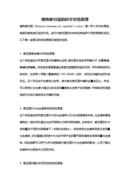 植物紫甘蓝的科学实验原理