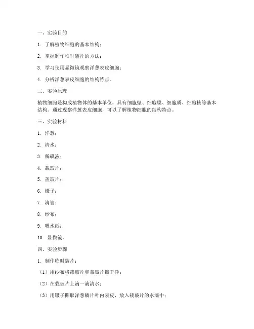 科学洋葱细胞实验报告